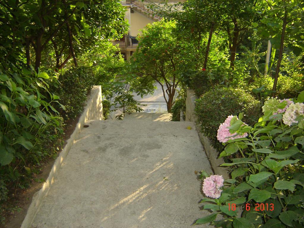 קוטור Apartments Dobrisa מראה חיצוני תמונה